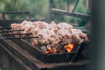 Barbecue facilities at Priesmont